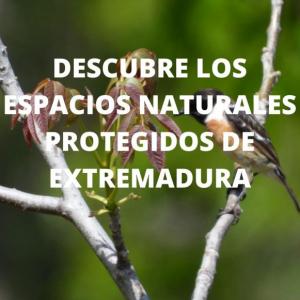 Descubre los Espacios Naturales Protegidos de Extremadura