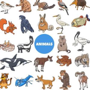 animales