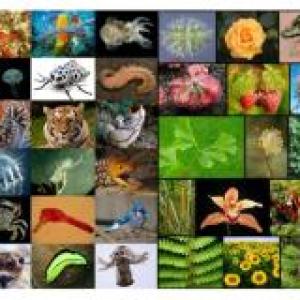 biodiversidad de especies