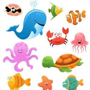 Recordando a mis amigos (los animales marinos)