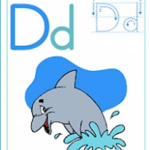 EL DELFIN