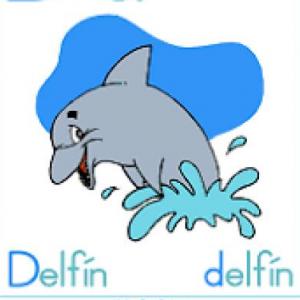 Imagen de portada del videojuego educativo: EL DELFIN, de la temática Actualidad