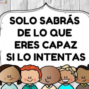 los textos instructivos