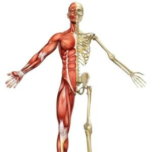 DUCHAZO DEL CUERPO