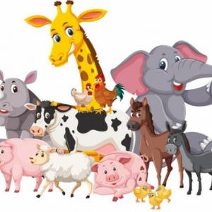 Imagen de portada del videojuego educativo: ANIMALES SALVAJES Y ANIMALES DE LA GRANJA ¡ENCUENTRA LAS PAREJAS! , de la temática Ciencias