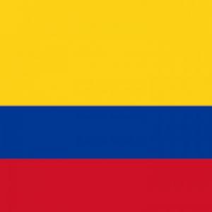 Constitución política de colombia