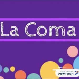 Uso de la coma