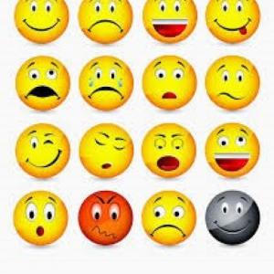 LAS EMOCIONES