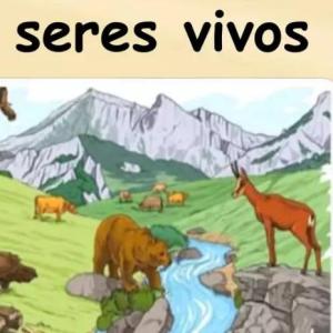 Los seres vivos