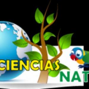 La materia 
