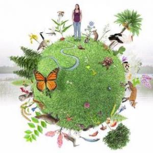 Biodiversidad Divertida!