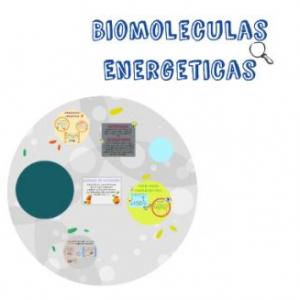 BIOMOLECULAS ENERGÉTICAS