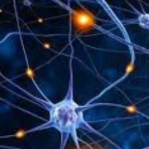 NEURO