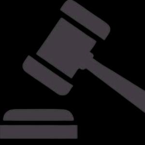 REPASO DERECHOS INDIVIDUALES CPRG