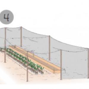 ELEMENTOS QUE INTEGRAN UN VIVERO
