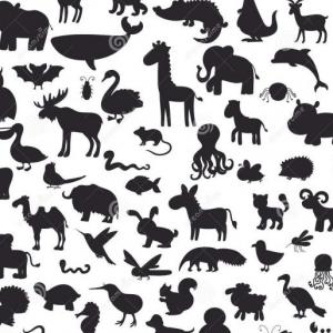 Animales domésticos