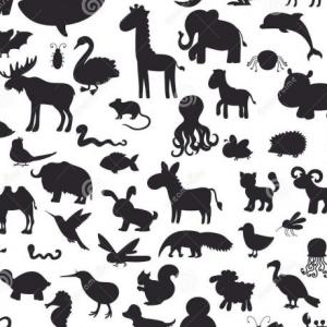 Animales domésticos y salvajes