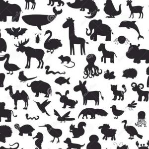 Identifica al animal