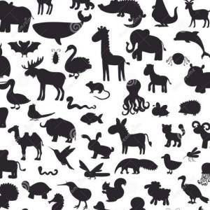 Animales salvajes