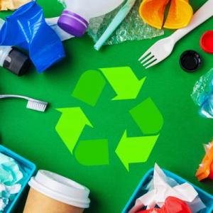 L'oca del reciclatge