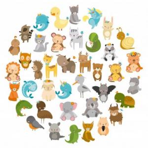 Animal´s