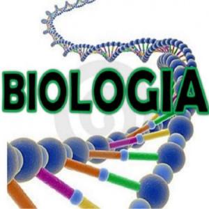 AHORCADO BIOLOGIA