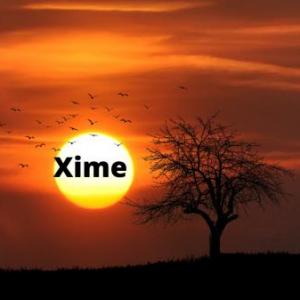 Xime Guillén