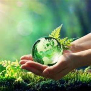 principios básicos de la naturaleza caps:1, 2 y 3.