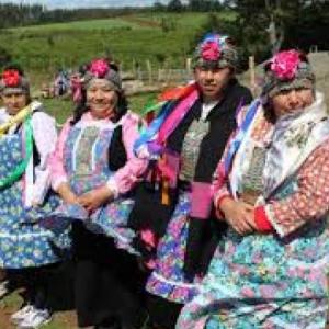 mapuche