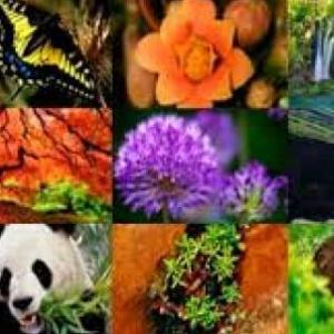 La biodiversidad Mexicana