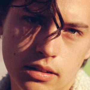 memorama harry y cole
