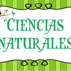 Juego de memoria Ciencias Naturales