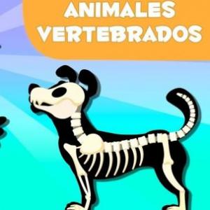ANIMALES VERTEBRADOS
