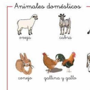 Imagen de portada del videojuego educativo: Animales domésticos y sus crias, de la temática Ciencias