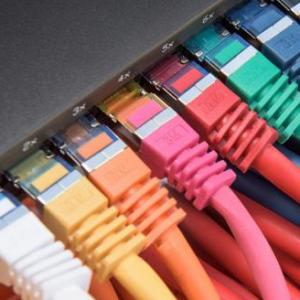 Identifica el tipo Cable de Red