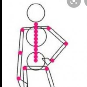Las partes del cuerpo 