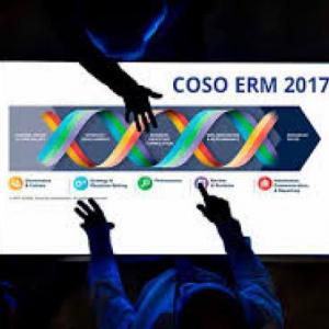 Coso ERM