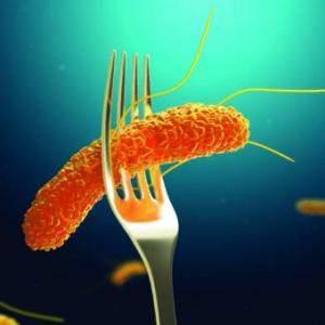 Imagen de portada del videojuego educativo: Historia de una Toxiinfección, de la temática Alimentación