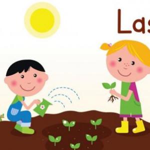 Las plantas 