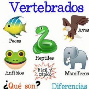 ANIMALES 