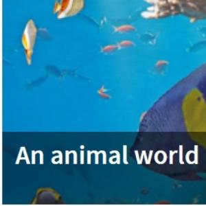 Sciences 1st: An animal world!