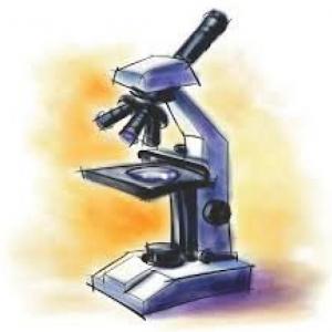 El microscopio y sus partes