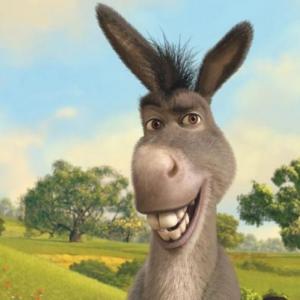 PELICULAS DE FANTASIA
