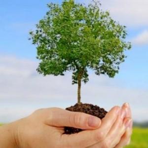 cuidado de medio ambiente