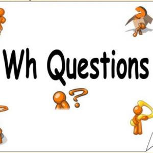 Portada del juego Wh Questions – Idiomas