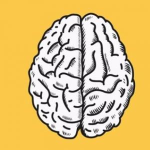 Test de psicolingüística.
