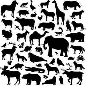 Trivia: Animals in Danger
