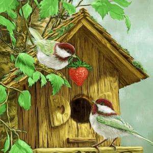 Animales, Frutas y Naturaleza