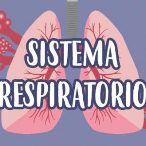 Imagen de portada del videojuego educativo: Aparato respiratorio, de la temática Biología