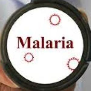 Malaria